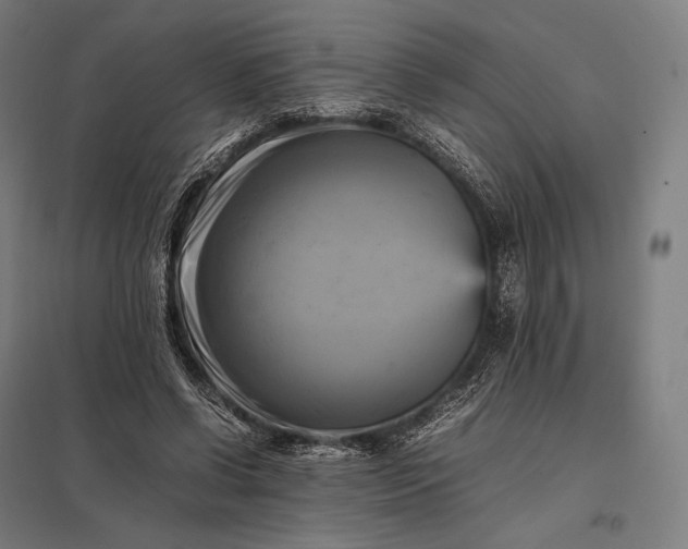 X0000097860542200803281314