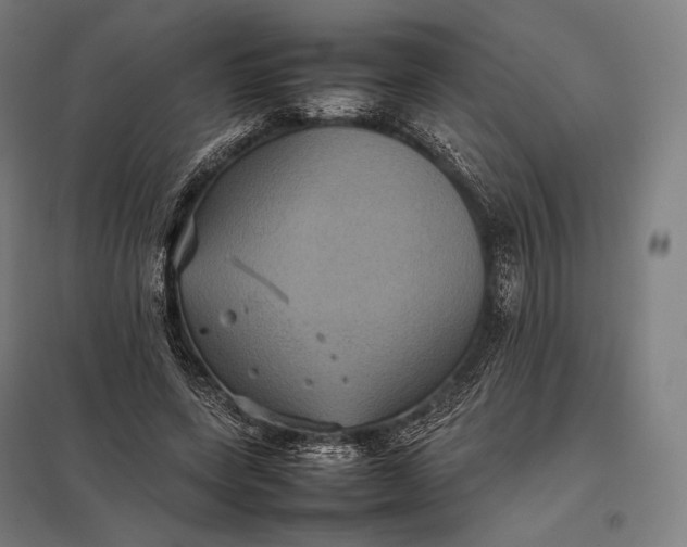 X0000097860543200803281314