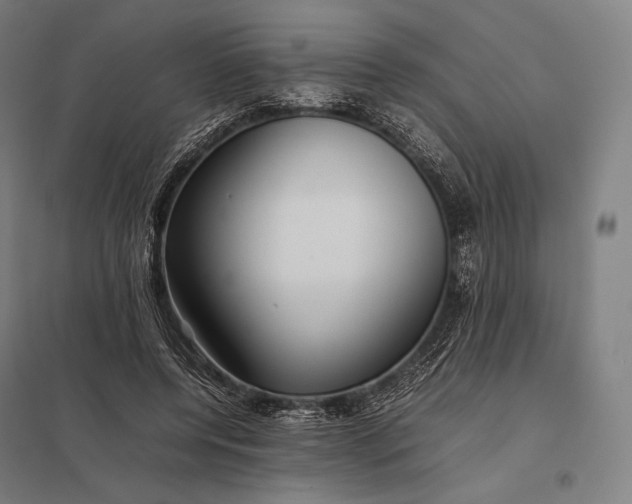 X0000097860544200803281314