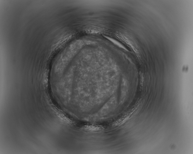 X0000097860545200803281314