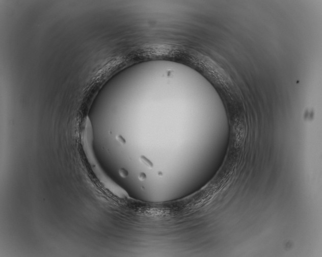 X0000097860546200803281314