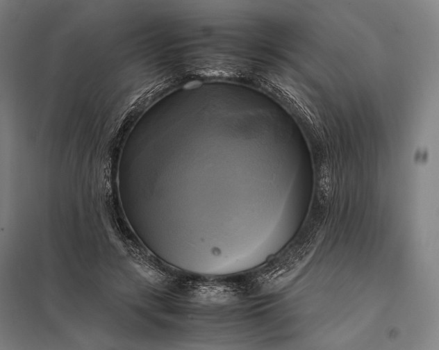 X0000097860547200803281314