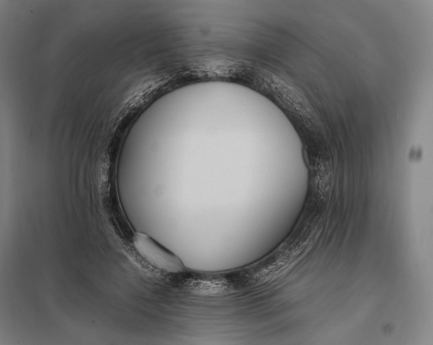 X0000097860548200803281314