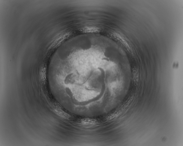 X0000097860549200803281314