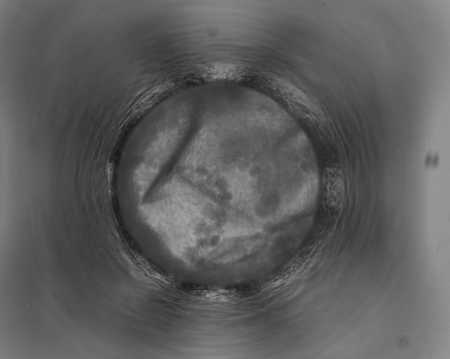 X0000097860550200803281314