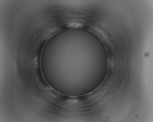 X0000097860551200803281314