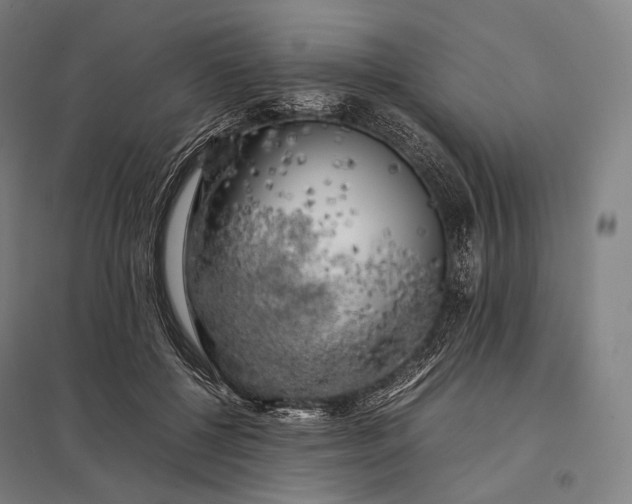 X0000097860552200803281314