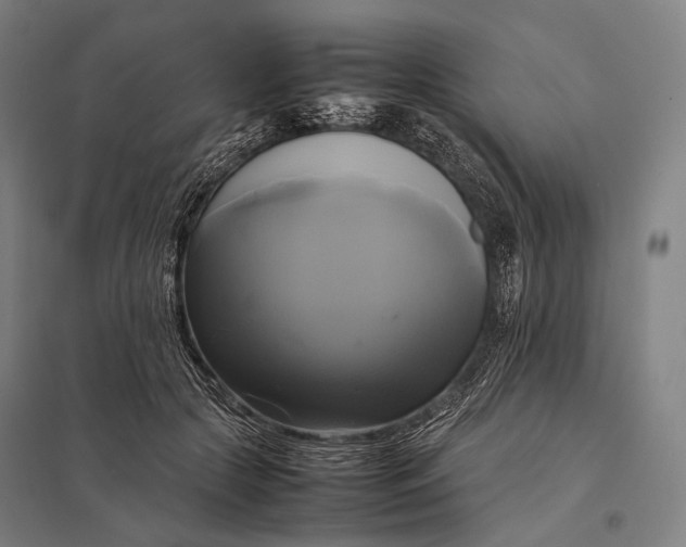 X0000097860553200803281314