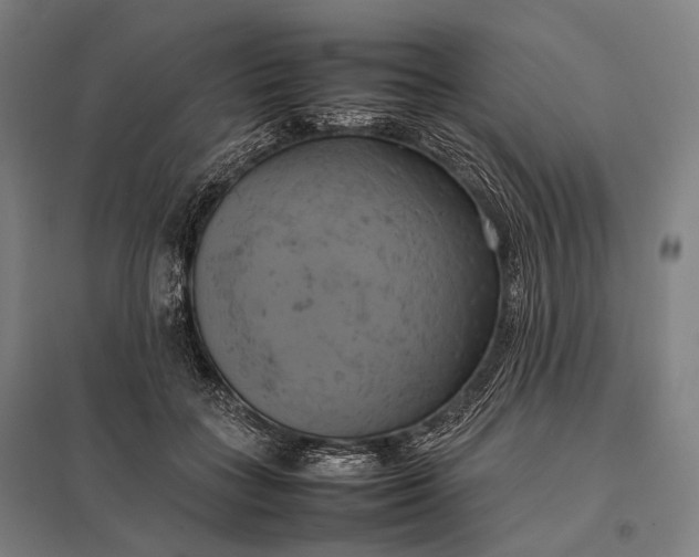 X0000097860555200803281314