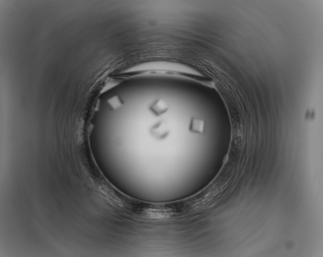 X0000097860556200803281314