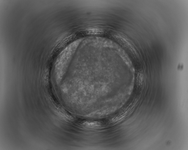 X0000097860557200803281314