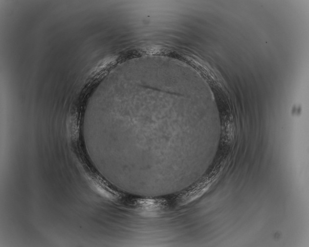 X0000097860558200803281314