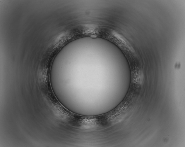 X0000097860560200803281314