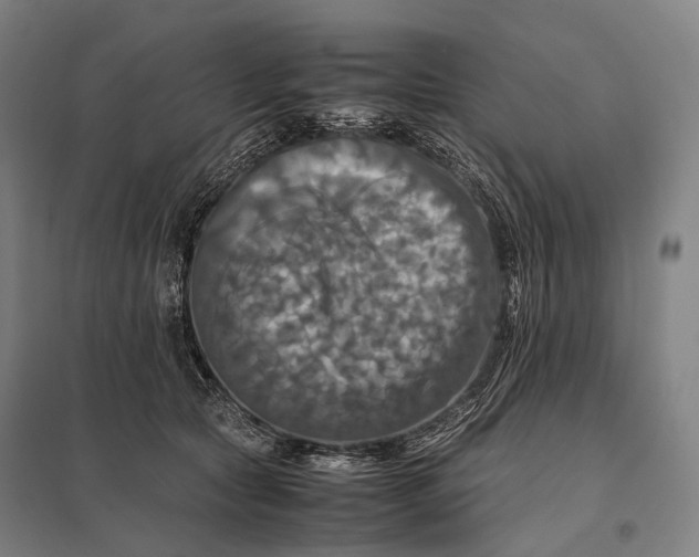 X0000097860561200803281314