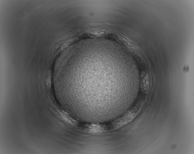 X0000097860562200803281314