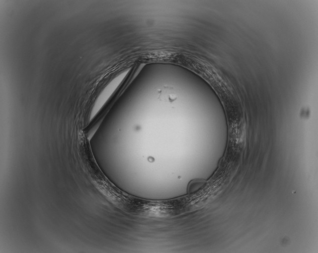 X0000097860564200803281314