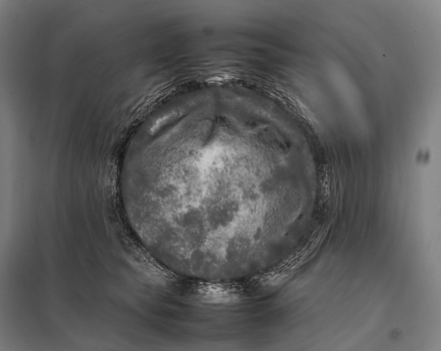 X0000097860565200803281314