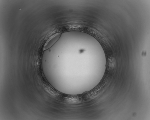 X0000097860567200803281314