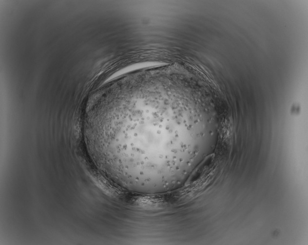 X0000097860568200803281314