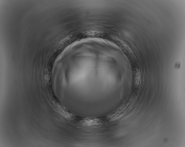 X0000097860569200803281314