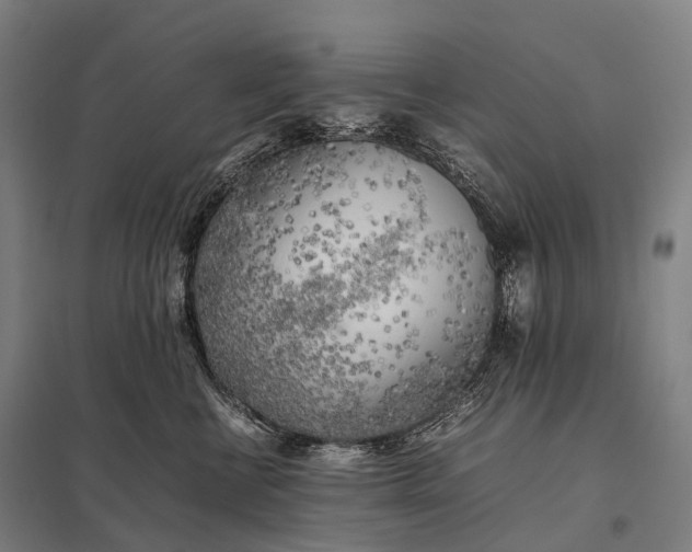 X0000097860570200803281314