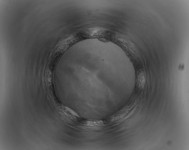 X0000097860571200803281314