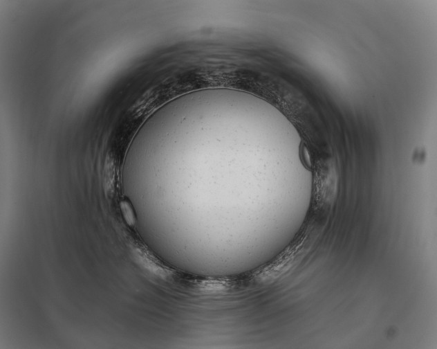 X0000097860574200803281314