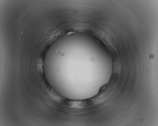 X0000097860575200803281314