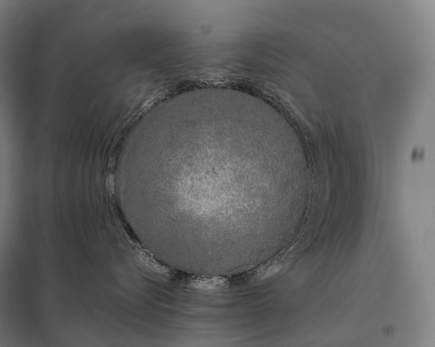 X0000097860576200803281314