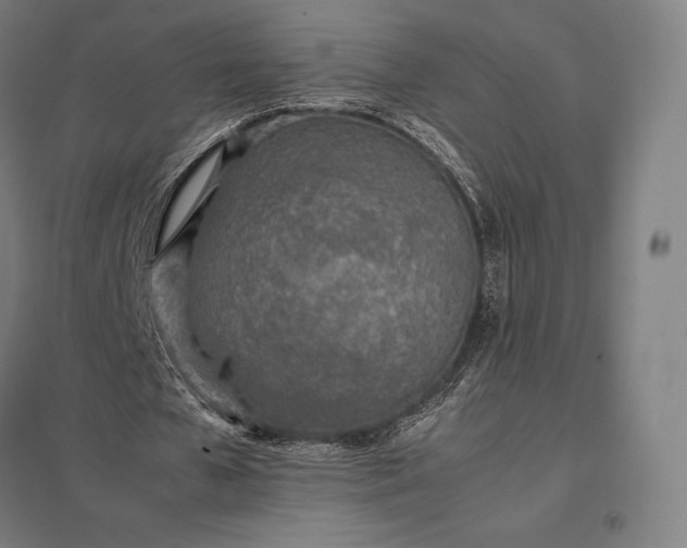 X0000097860577200803281313