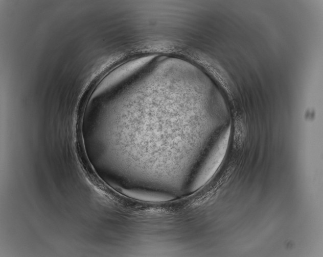 X0000097860578200803281313