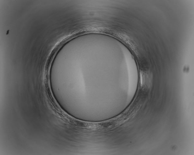 X0000097860579200803281313