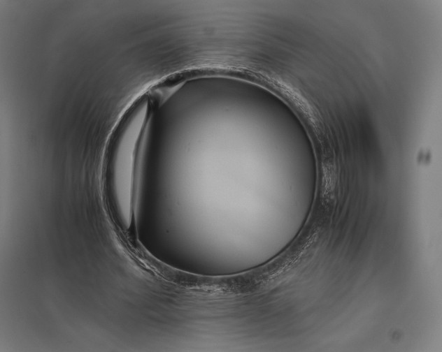 X0000097860580200803281313