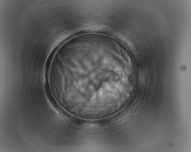 X0000097860582200803281313