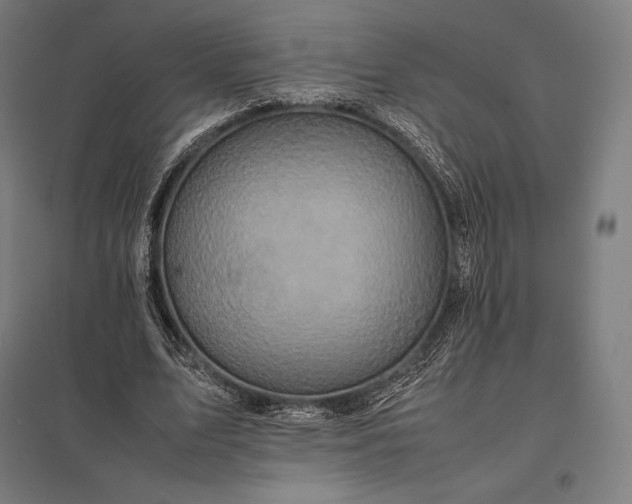 X0000097860583200803281313