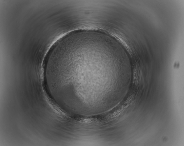 X0000097860584200803281313