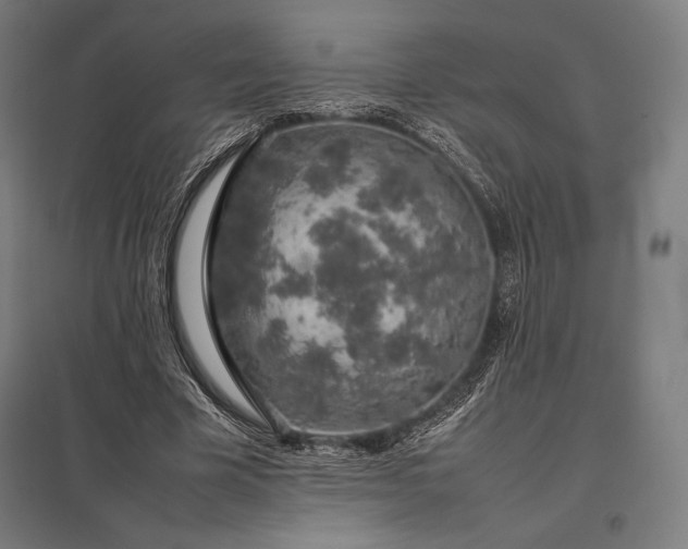 X0000097860585200803281313