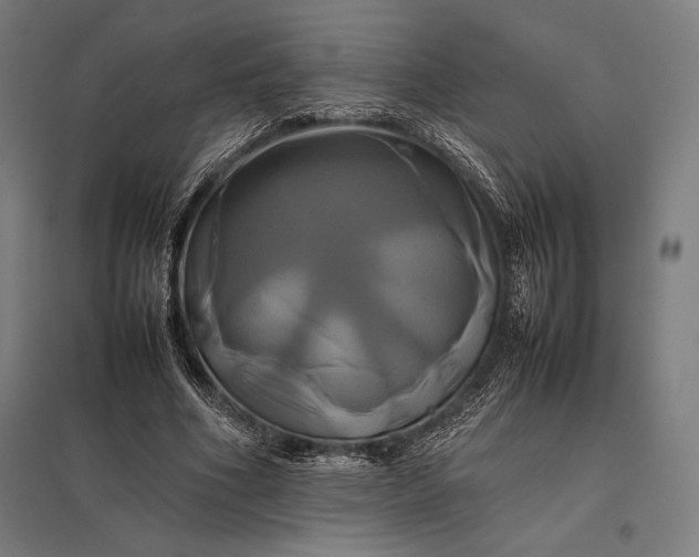 X0000097860586200803281313