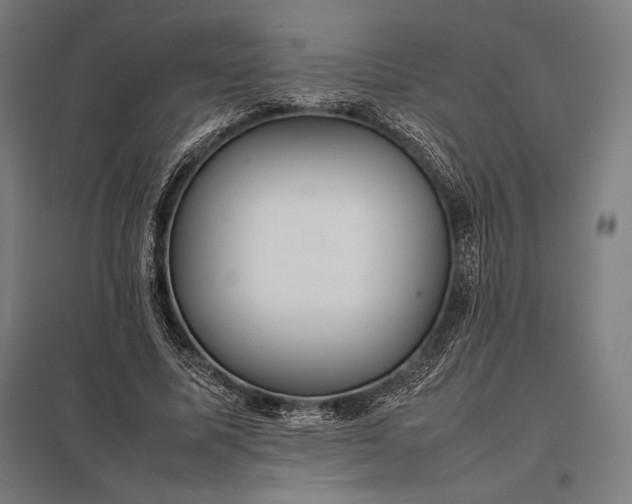 X0000097860587200803281313