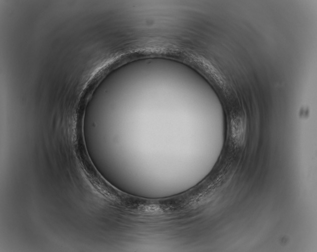 X0000097860588200803281313