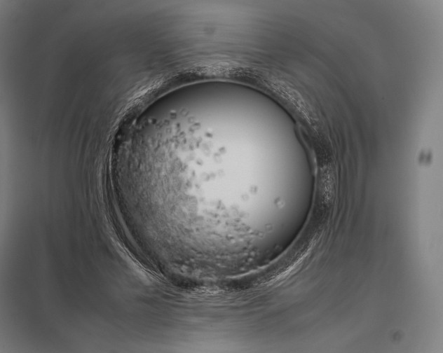 X0000097860589200803281313