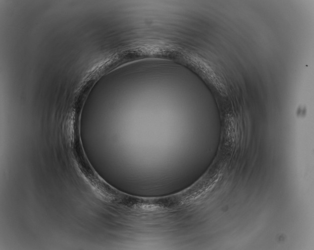 X0000097860590200803281313