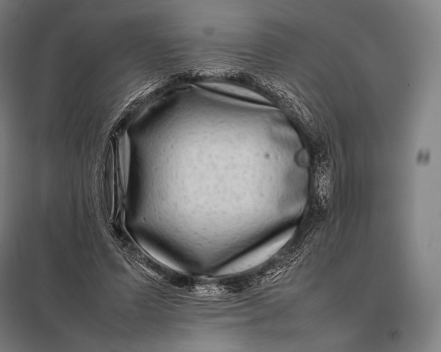 X0000097860591200803281313