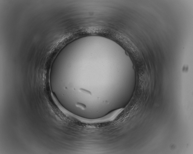 X0000097860592200803281313