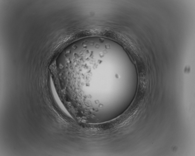 X0000097860593200803281313