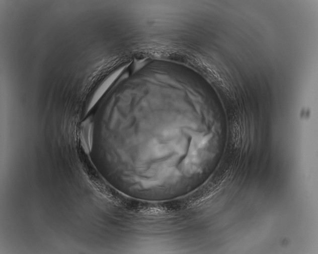 X0000097860594200803281313