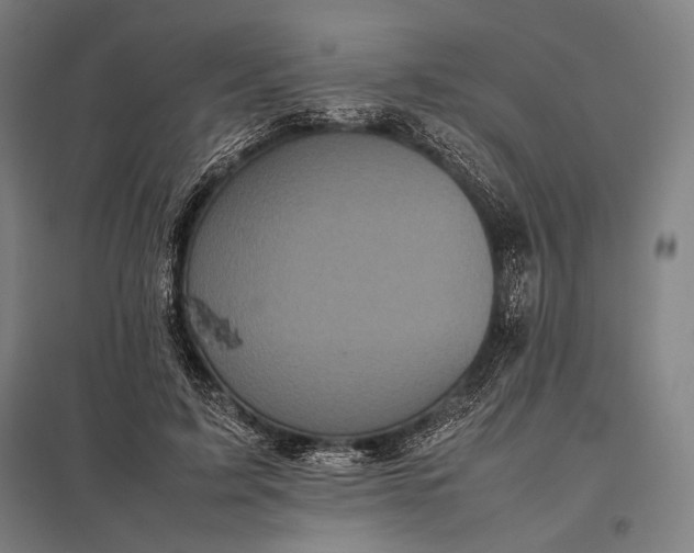 X0000097860595200803281313