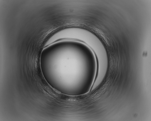 X0000097860596200803281313