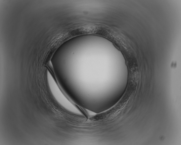 X0000097860597200803281313