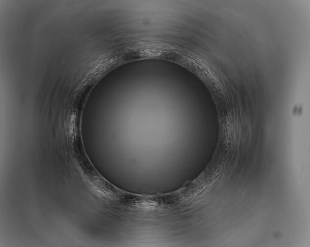 X0000097860598200803281313